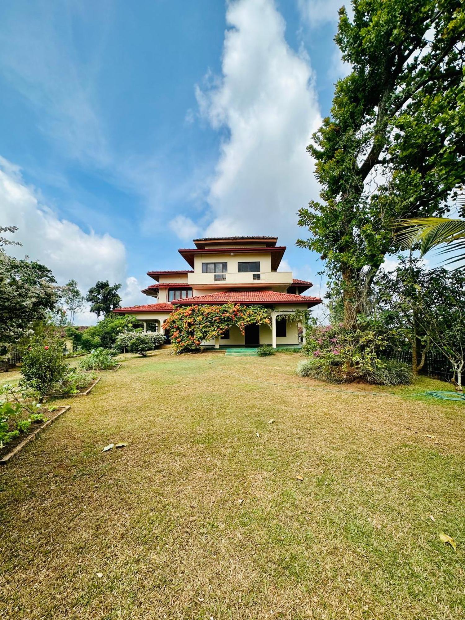 The Views Kandy - 360 Mountain View Eksteriør bilde